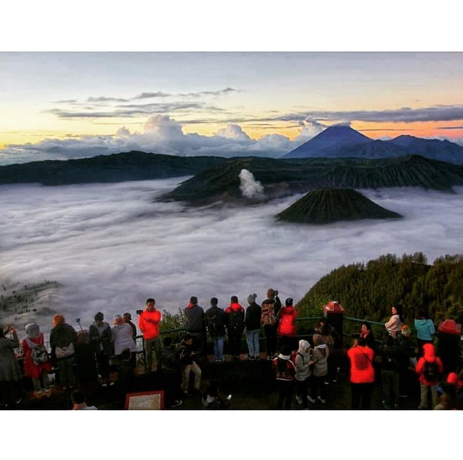 Bromo Backpacker Tosari Apartment Pasuruan Exterior photo