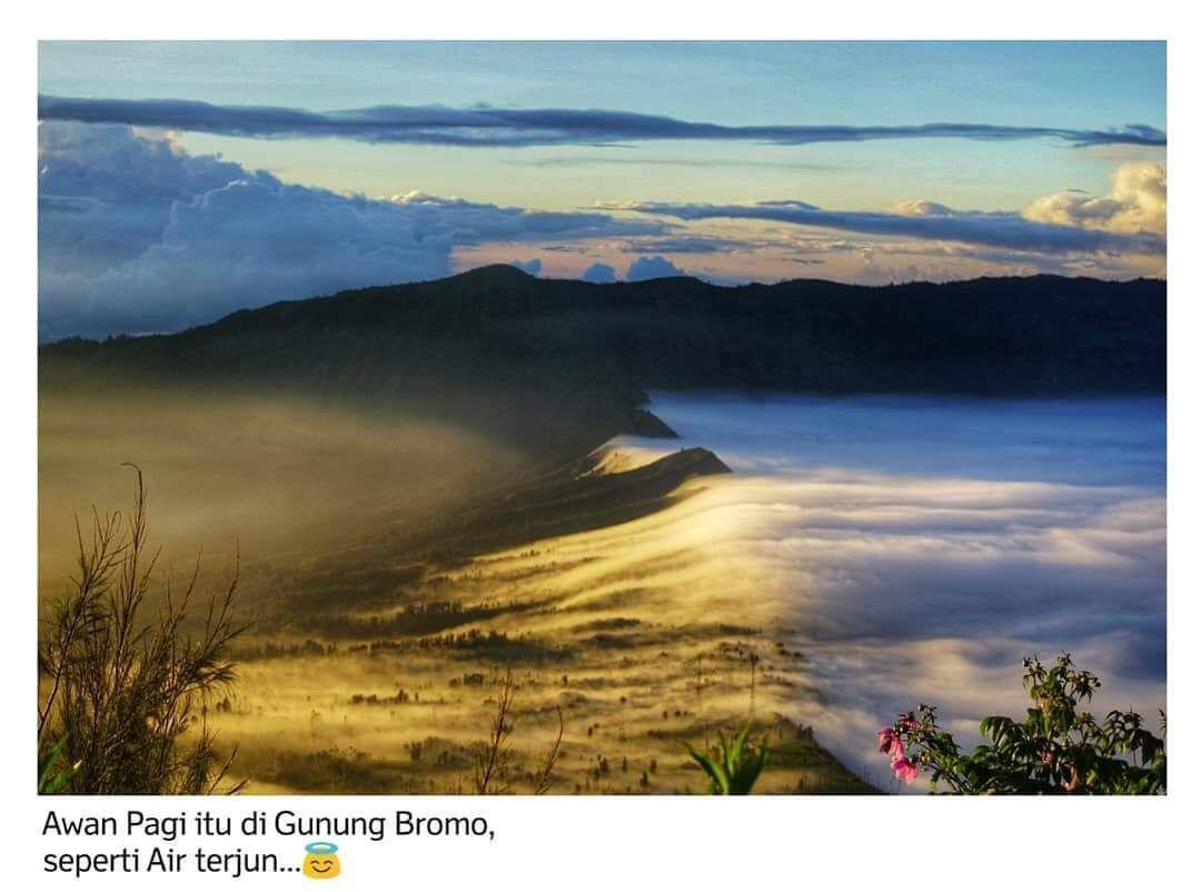 Bromo Backpacker Tosari Apartment Pasuruan Exterior photo